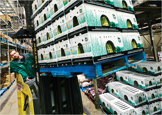 Warehouse employee driving a forklift lifting a blue pallet stacked with product.