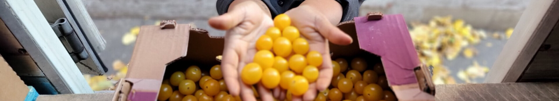 Gaspillage alimentaire faits