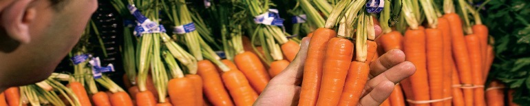 Sourcing & Merchandising