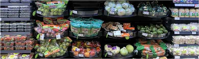 Genetically Modified Organisms 