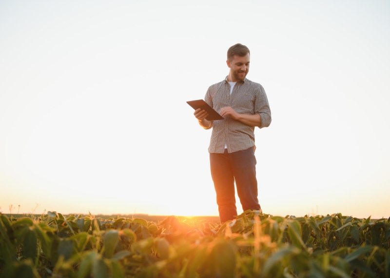 men are standing in a green crop field under a clear sky. One man is showing something on a tablet to the other man.